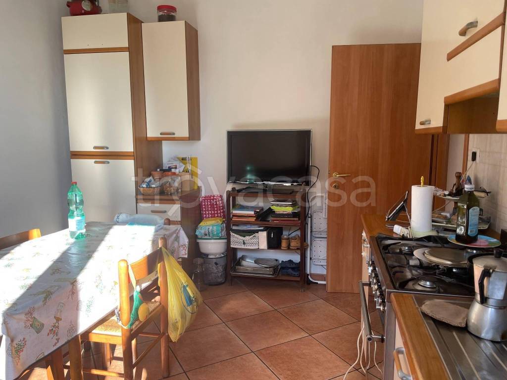 immagine annuncio 5 di 14