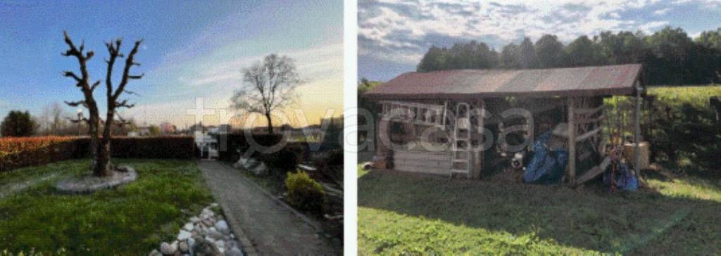 immagine annuncio 2 di 11