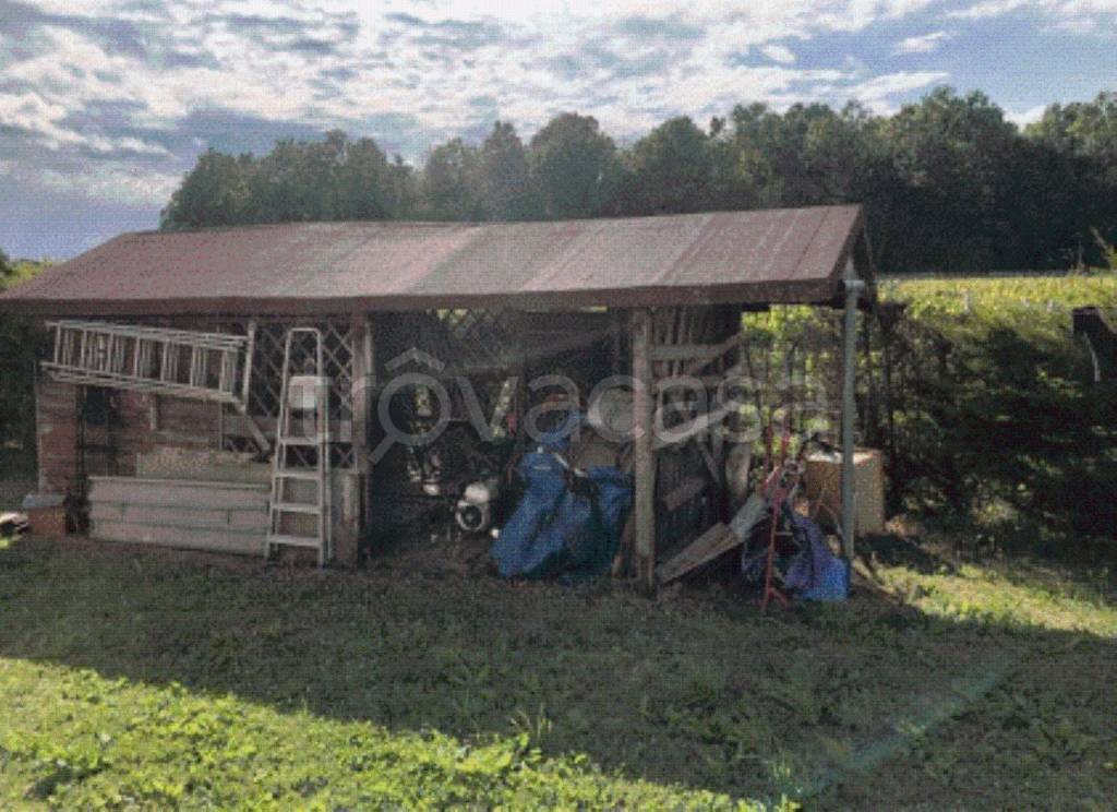 immagine annuncio 5 di 11