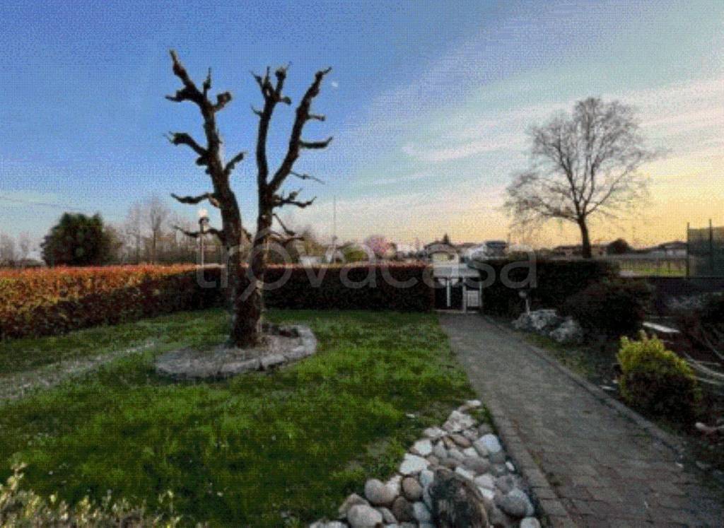 immagine annuncio 6 di 11