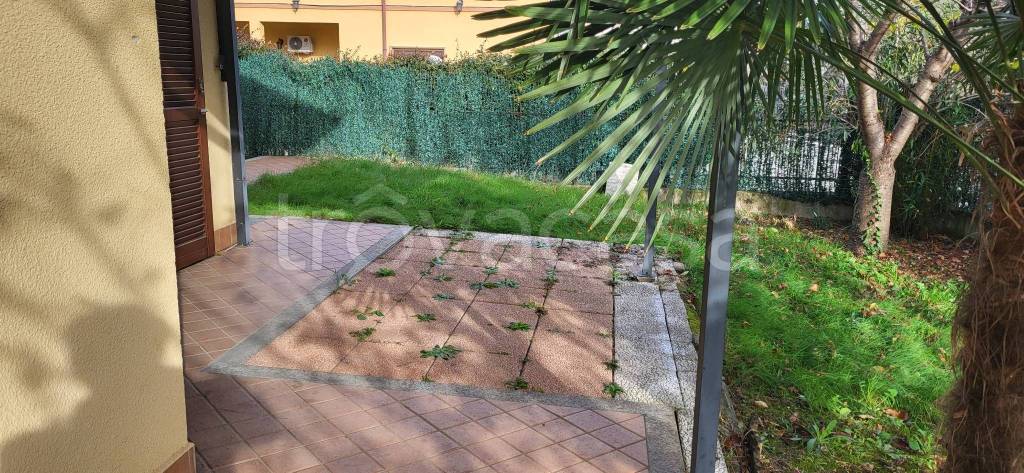 immagine annuncio 7 di 15