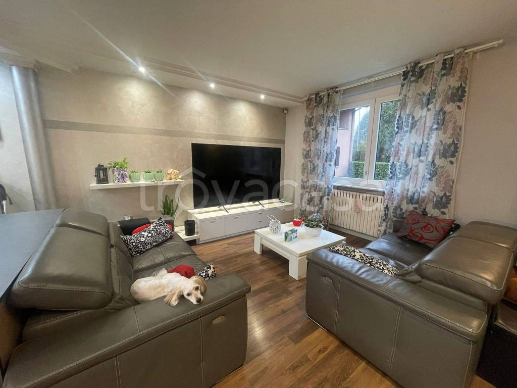 immagine annuncio 4 di 15