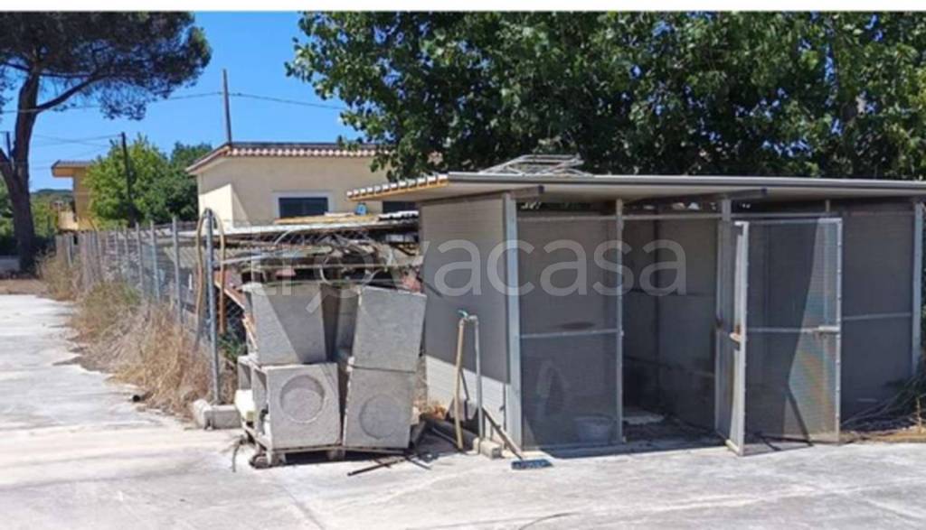 immagine annuncio 4 di 11