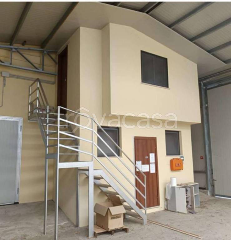 immagine annuncio 7 di 11