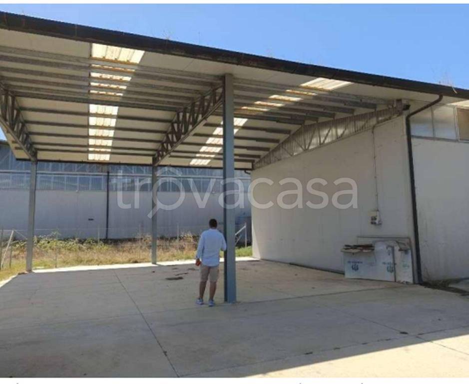 immagine annuncio 8 di 11