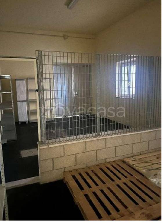 immagine annuncio 9 di 11