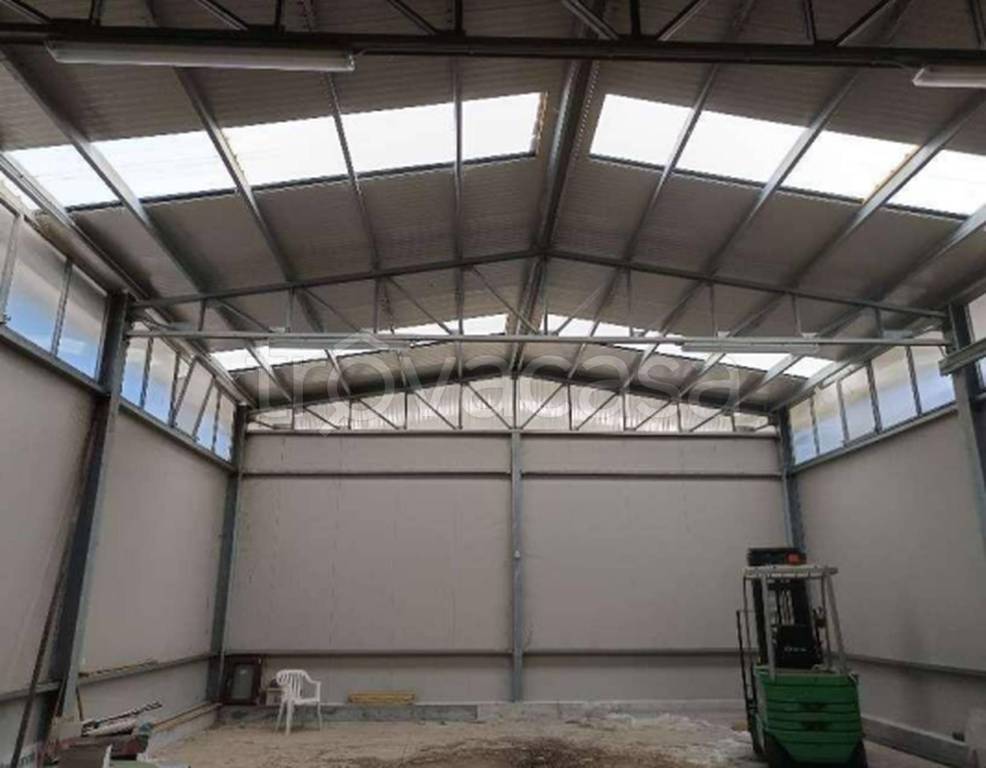 immagine annuncio 10 di 11