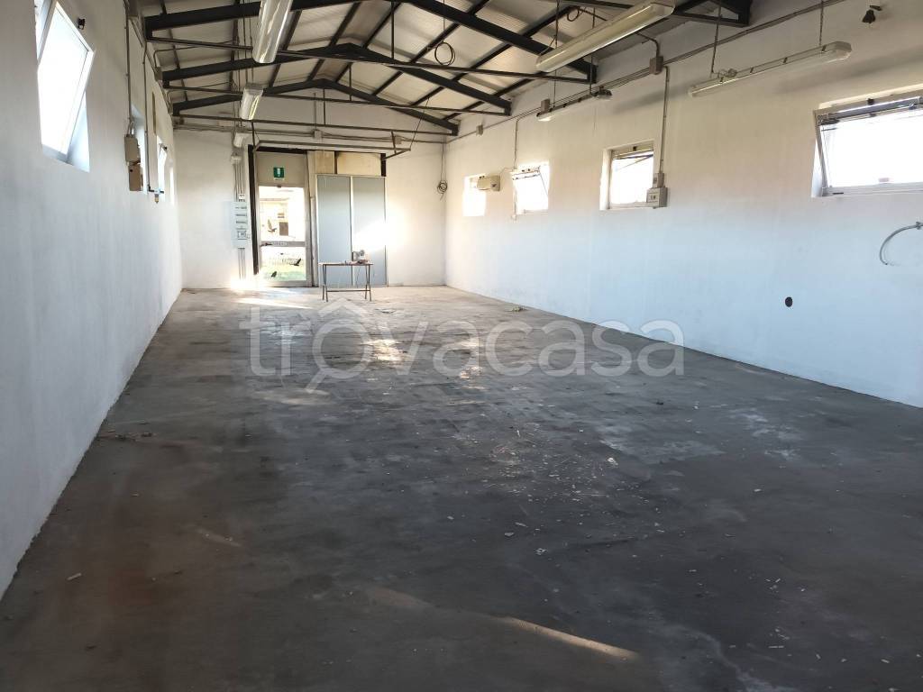 immagine annuncio 6 di 8