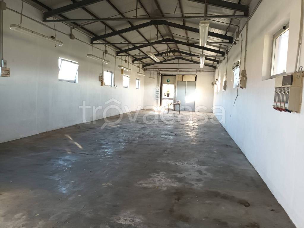 immagine annuncio 5 di 8