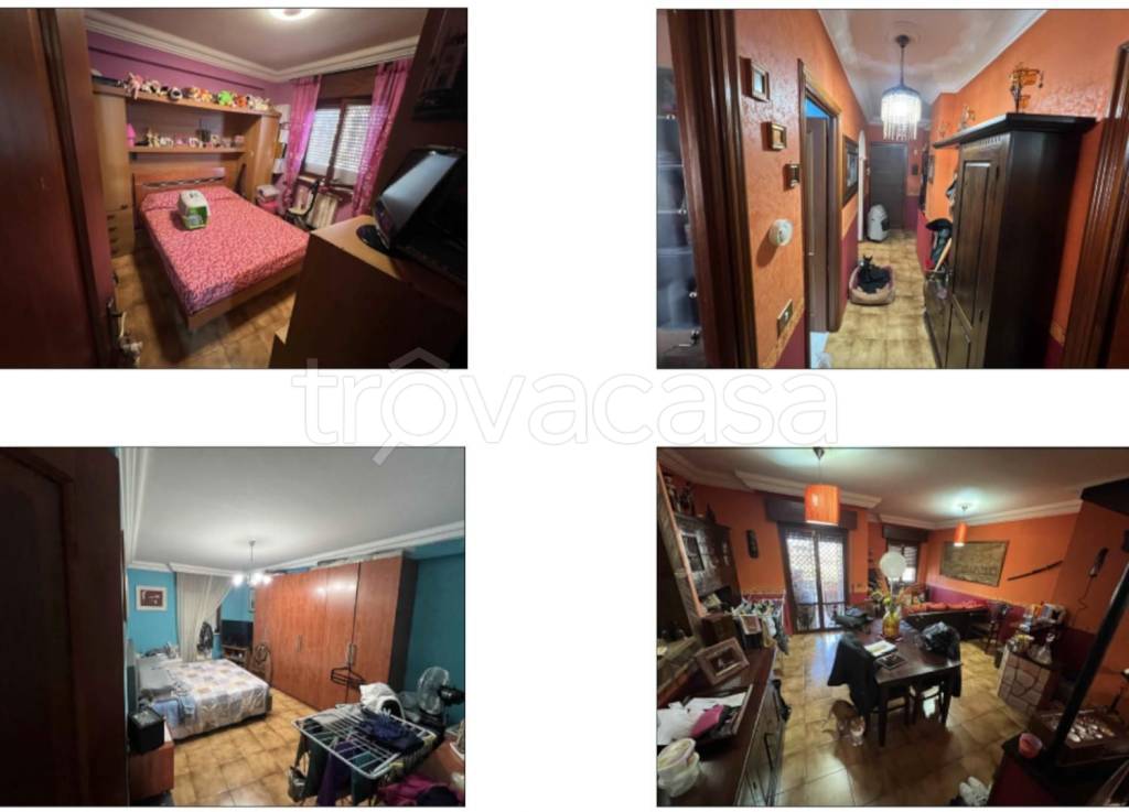 immagine annuncio 1 di 13