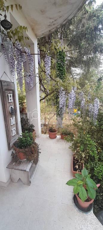 immagine annuncio 6 di 7