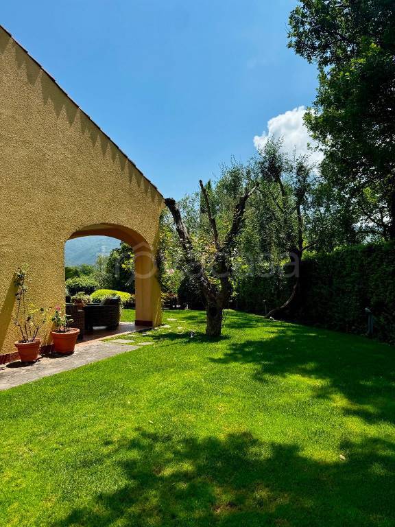 immagine annuncio 5 di 6