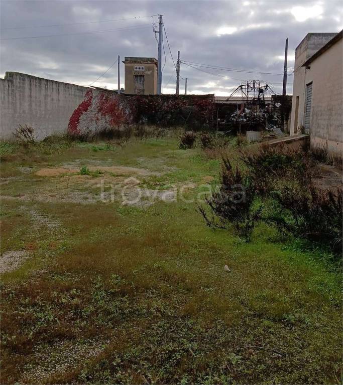 immagine annuncio 2 di 6