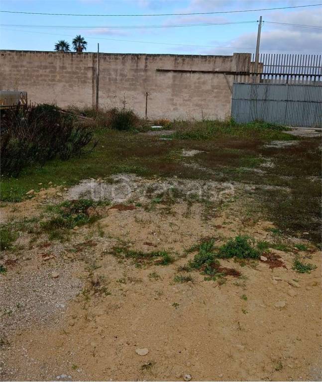 immagine annuncio 3 di 6