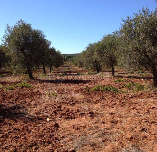 immagine annuncio 5 di 8