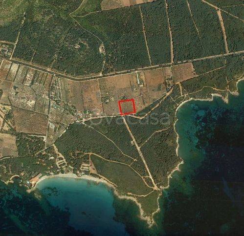 immagine annuncio 6 di 8