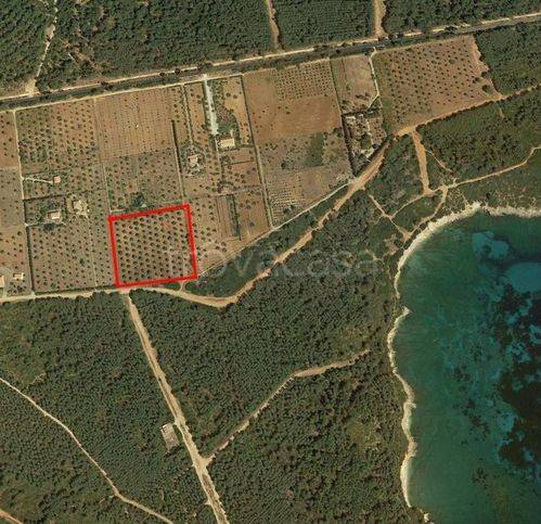 immagine annuncio 7 di 8