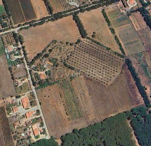 immagine annuncio 1 di 3