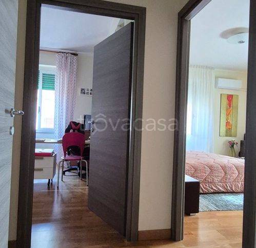 immagine annuncio 5 di 8