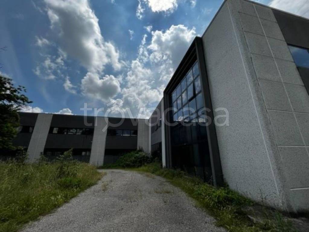 immagine annuncio 1 di 12