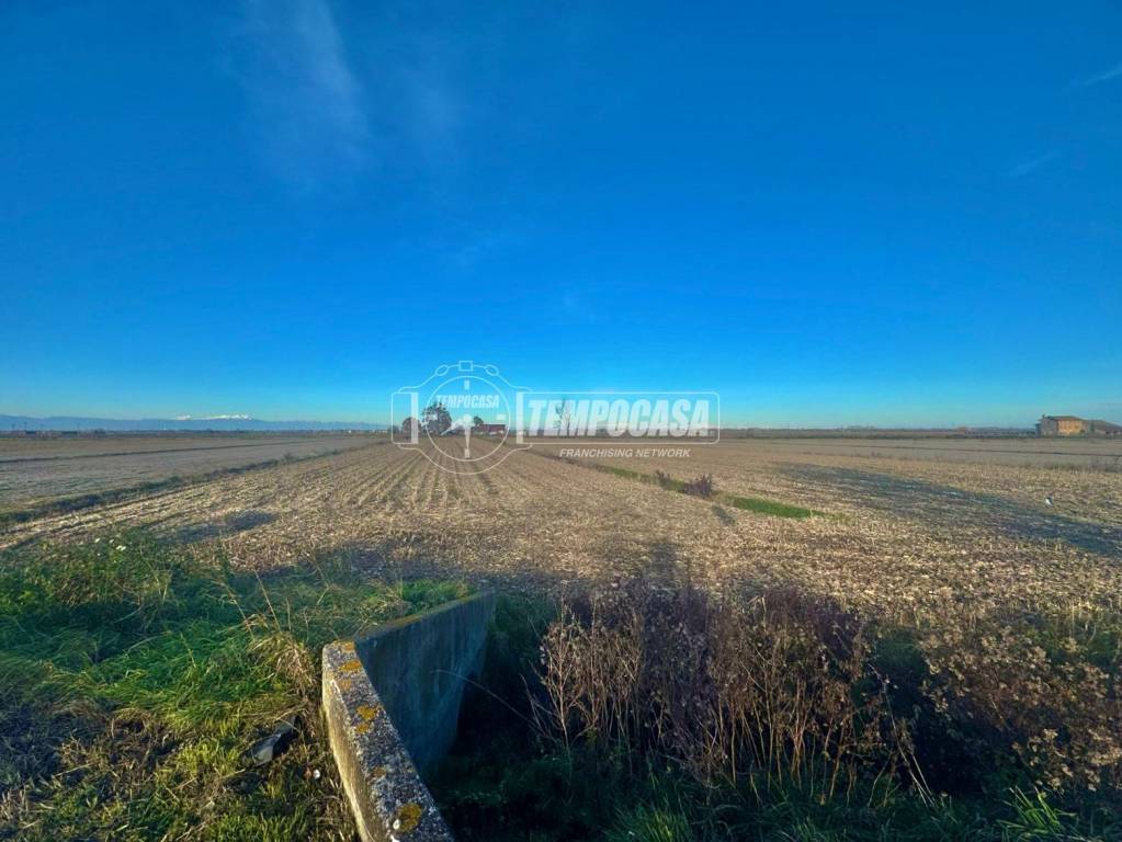 immagine annuncio 4 di 11