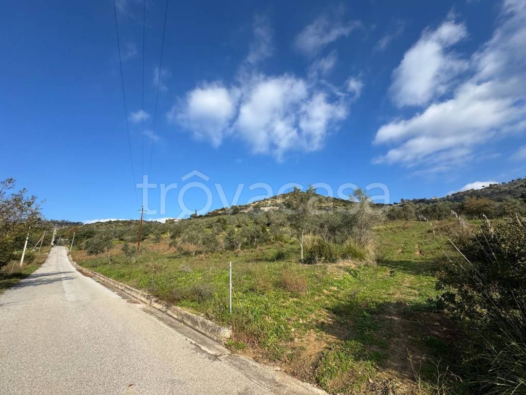 immagine annuncio 1 di 8