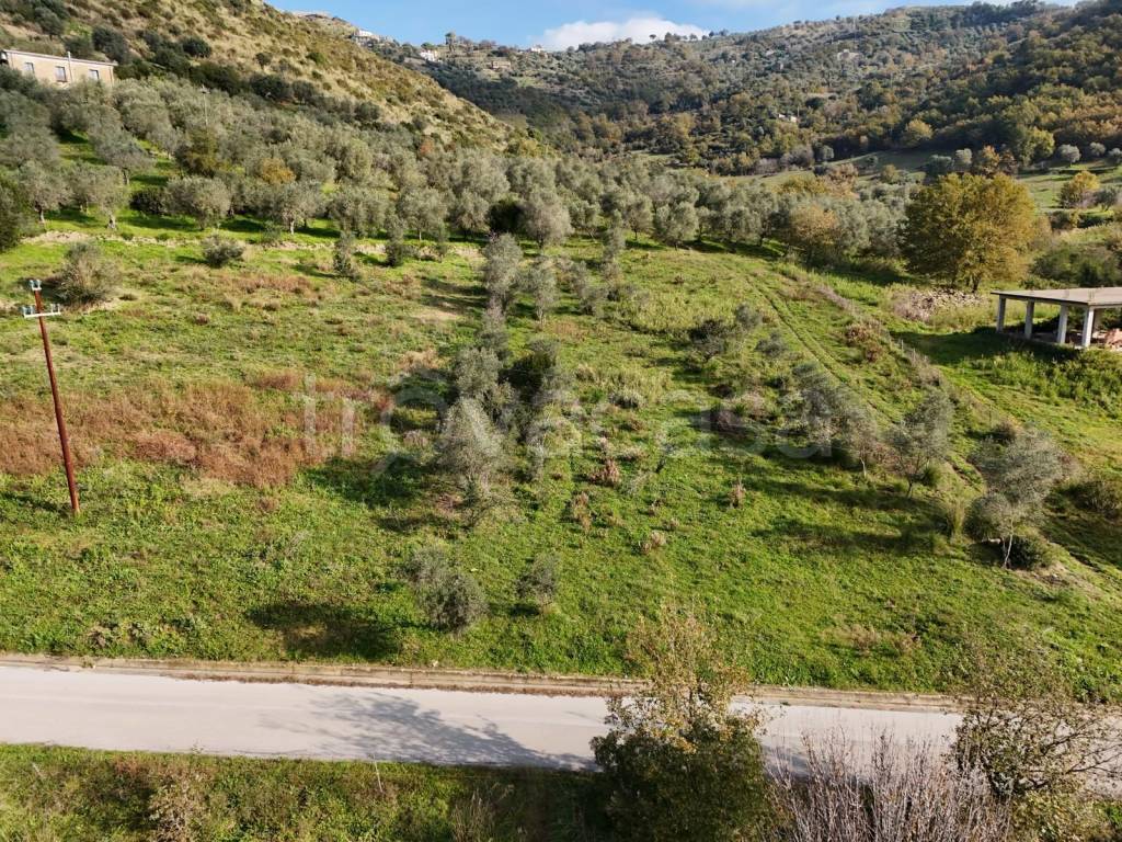 immagine annuncio 3 di 8