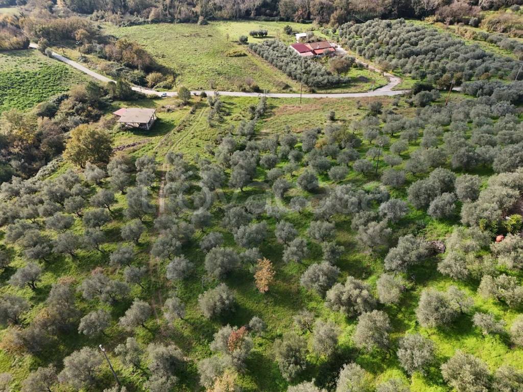 immagine annuncio 5 di 8