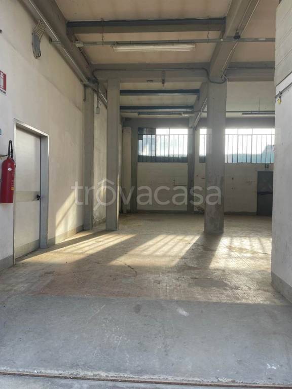 immagine annuncio 2 di 11