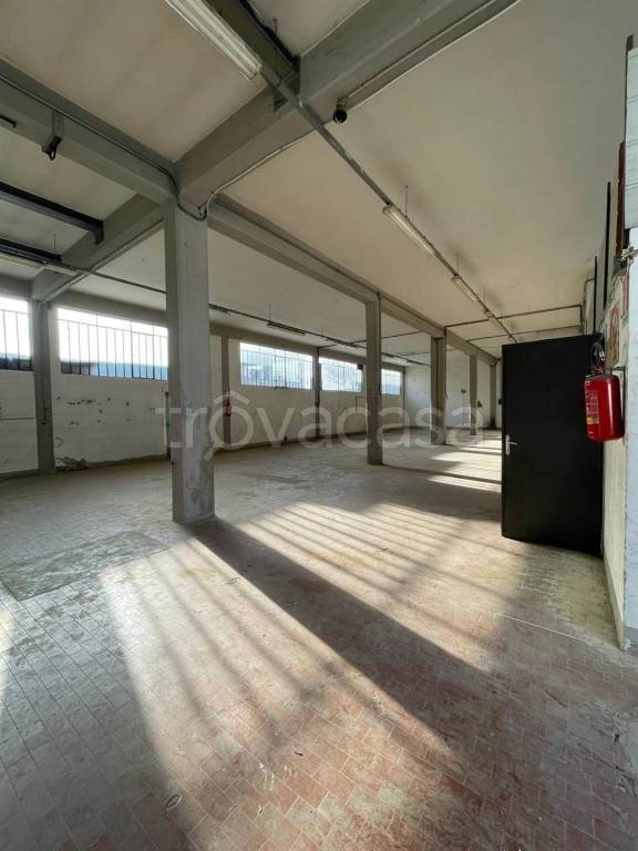 immagine annuncio 3 di 11