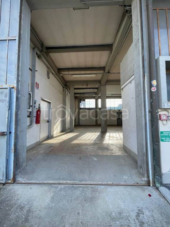 immagine annuncio 4 di 11