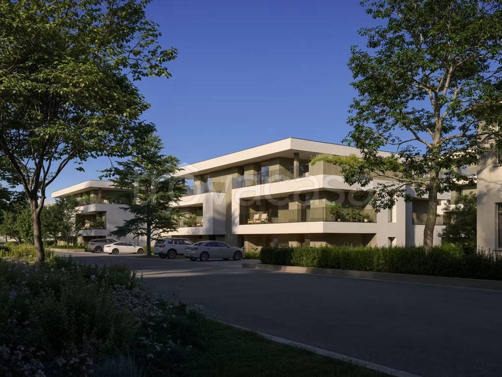 immagine annuncio 7 di 12