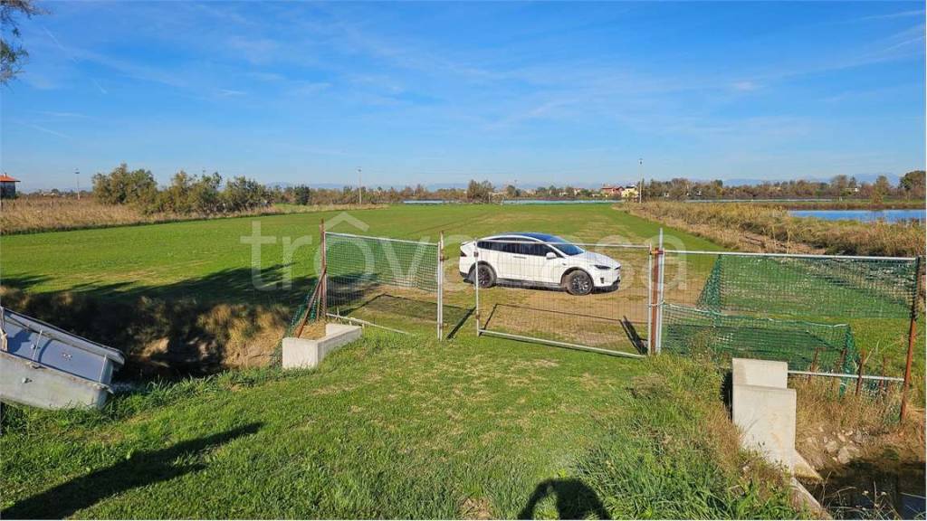 immagine annuncio 6 di 13