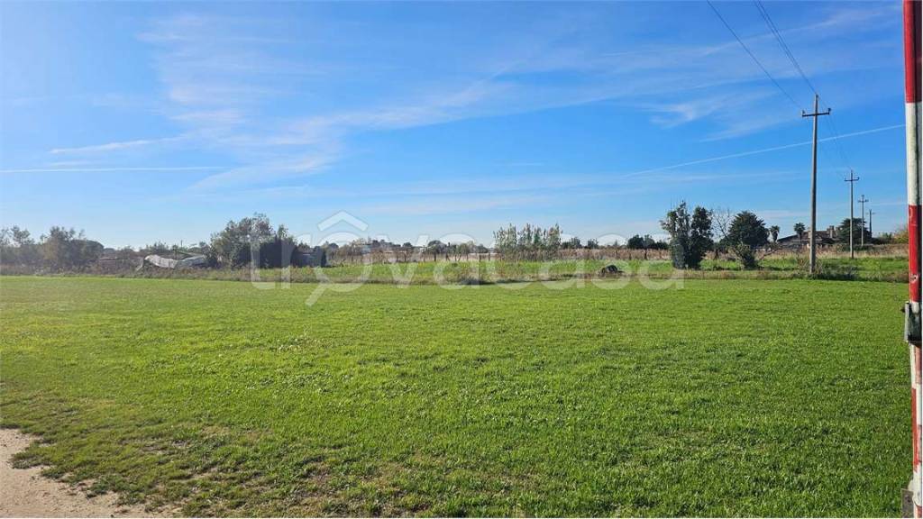 immagine annuncio 8 di 13