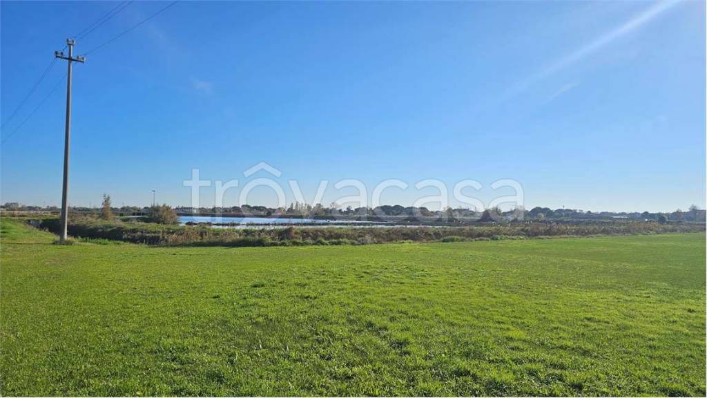 immagine annuncio 9 di 13