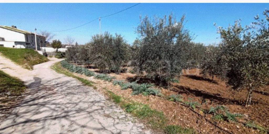 immagine annuncio 5 di 9