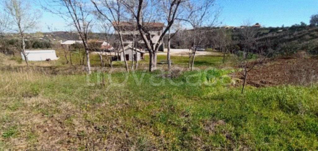 immagine annuncio 8 di 9