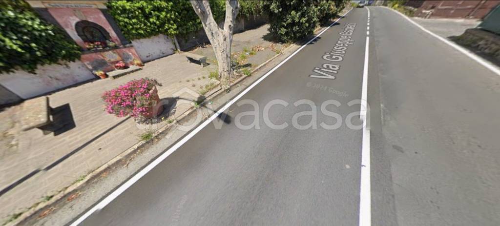 immagine annuncio 6 di 14