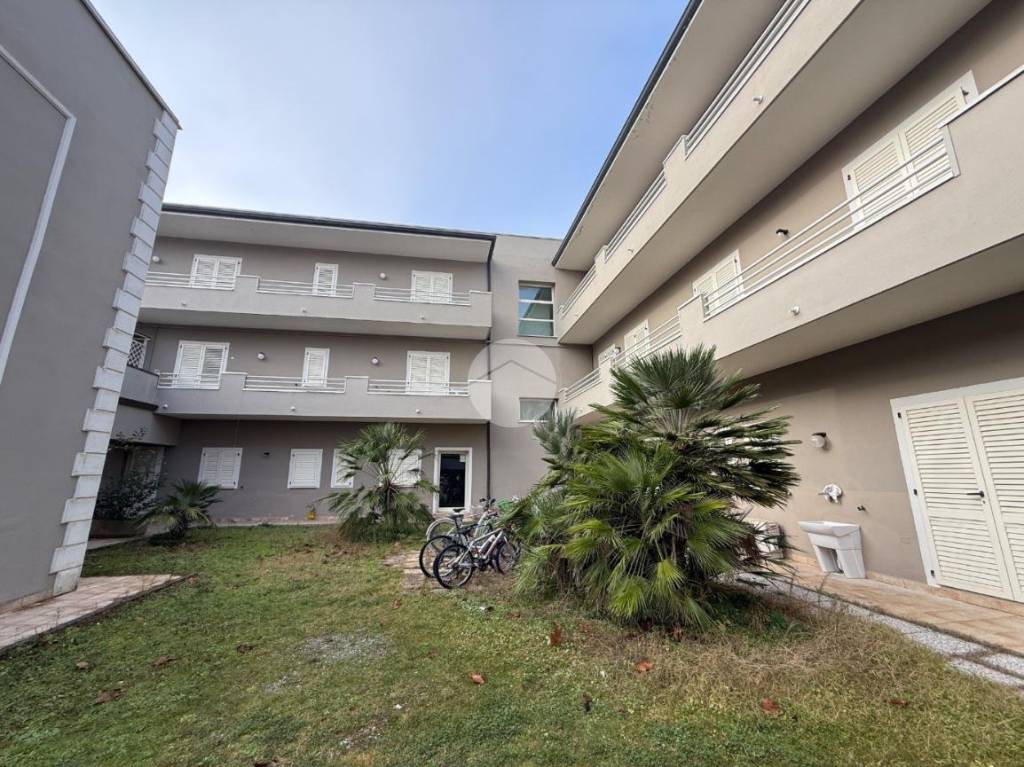 immagine annuncio 8 di 11