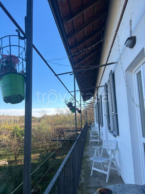 immagine annuncio 7 di 14