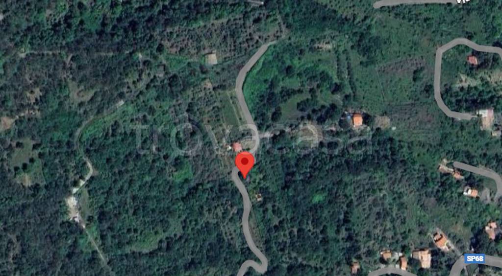 immagine annuncio 3 di 12