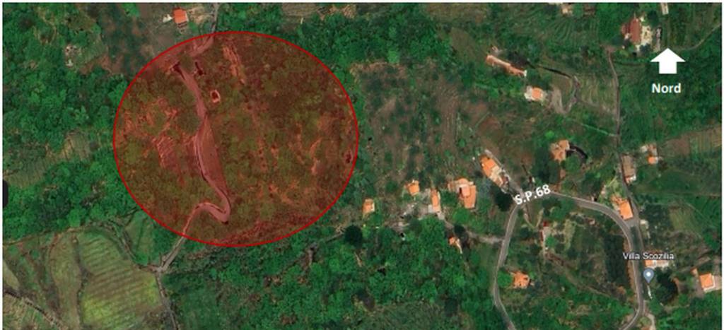 immagine annuncio 9 di 12