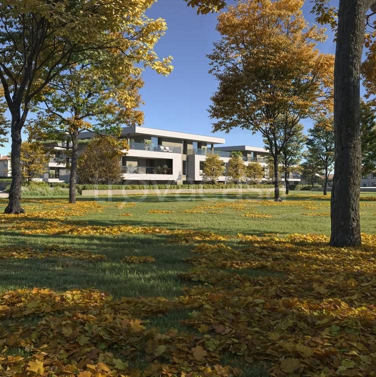 immagine annuncio 3 di 12