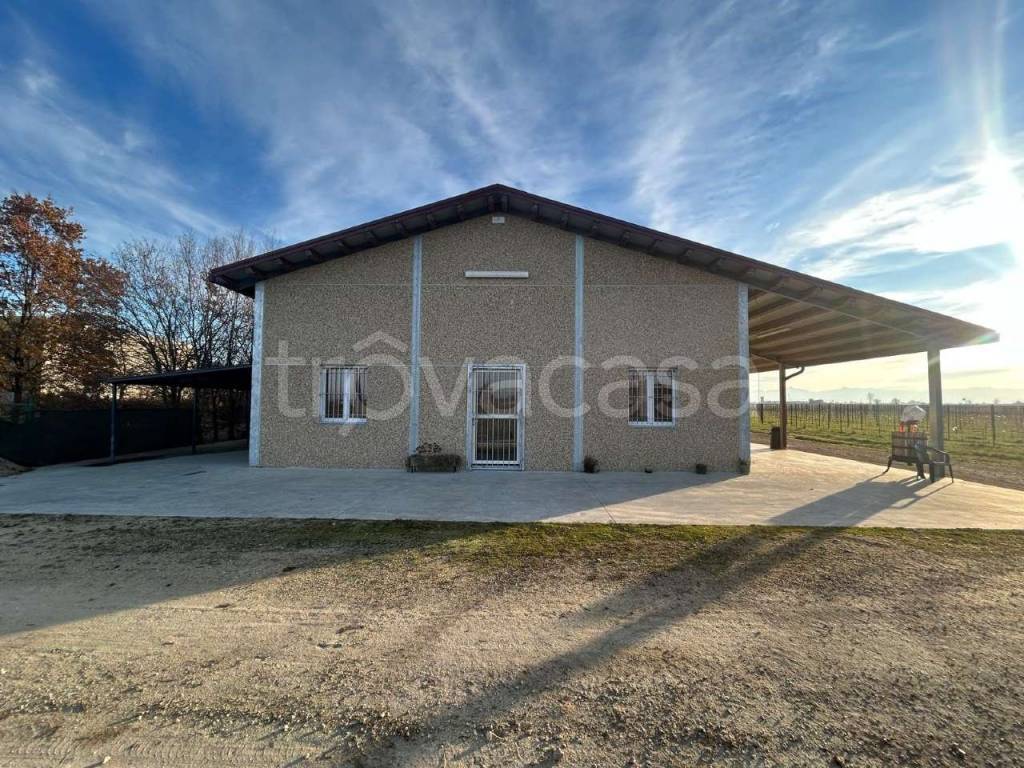 immagine annuncio 1 di 15