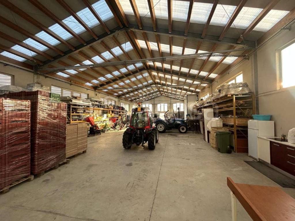 immagine annuncio 3 di 15