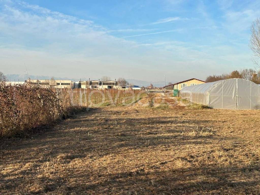 immagine annuncio 13 di 15