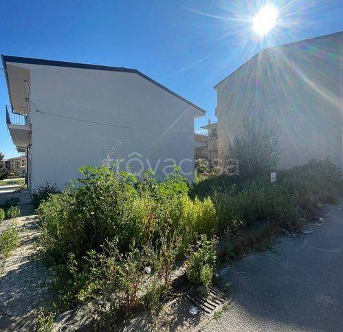 immagine annuncio 2 di 4