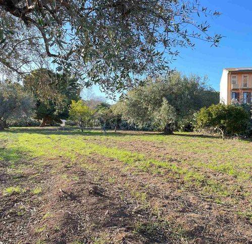 immagine annuncio 5 di 14