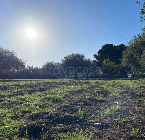 immagine annuncio 6 di 14