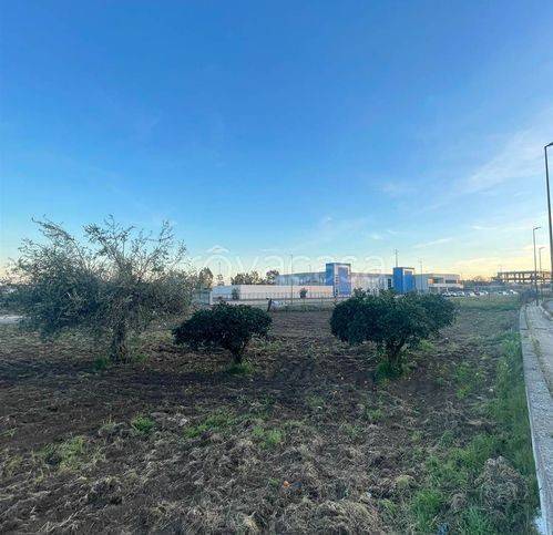 immagine annuncio 1 di 6